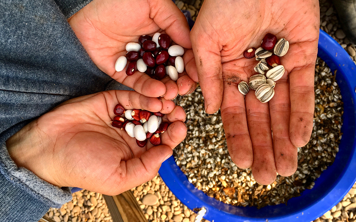 preserving-native-food-traditions-sierra-club